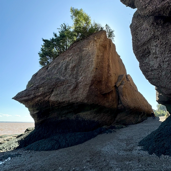 HopewellRocks034.jpg