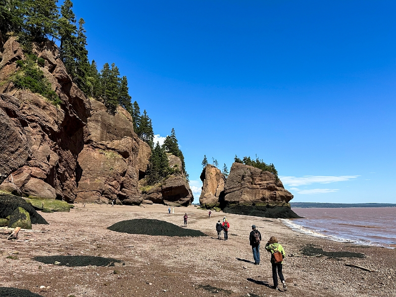 HopewellRocks039.jpg
