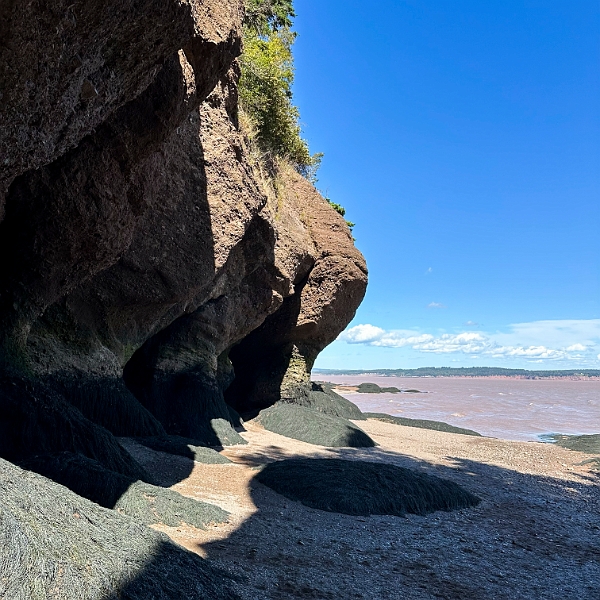 HopewellRocks040.jpg