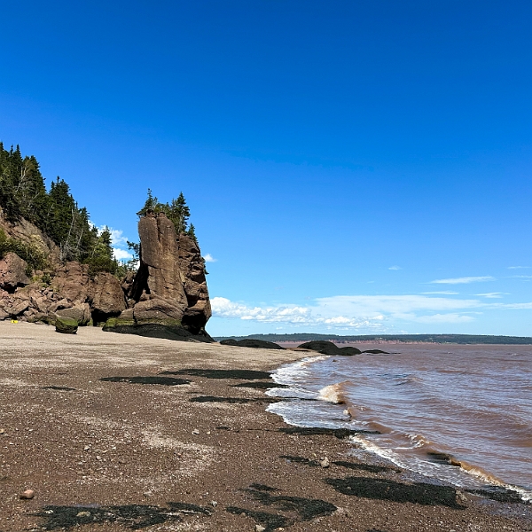 HopewellRocks041.jpg