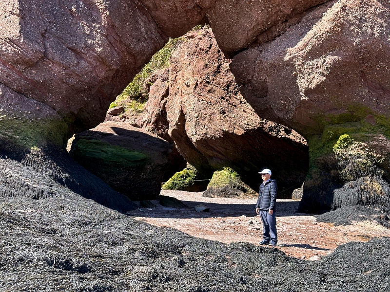 HopewellRocks044.jpg