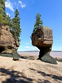 HopewellRocks019