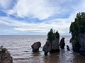 HopewellRocks055