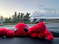PEI006