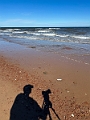 PEI036