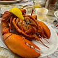 PEI062