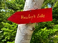 CapeBreton113