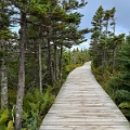 CapeBreton169