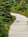 CapeBreton176