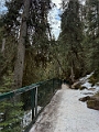 EverwildCanmore023