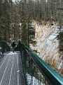 EverwildCanmore040